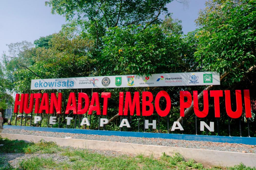 Indahnya Hutan Adat Imbo Putui, Suguhkan Keseimbangan Ekonomi dan Alam Berkelanjutan