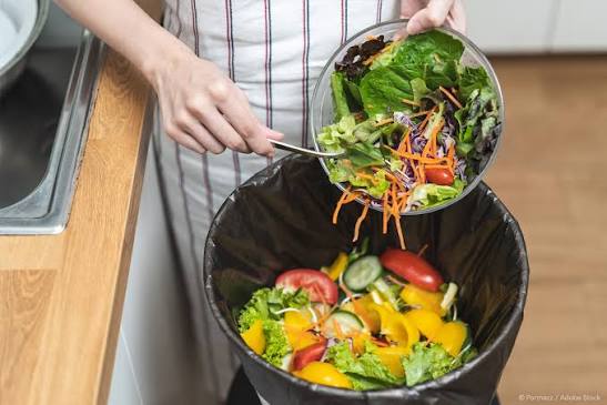 Atasi Food Waste MBG, Garda Pangan Dorong Biokonversi Maggot BSF