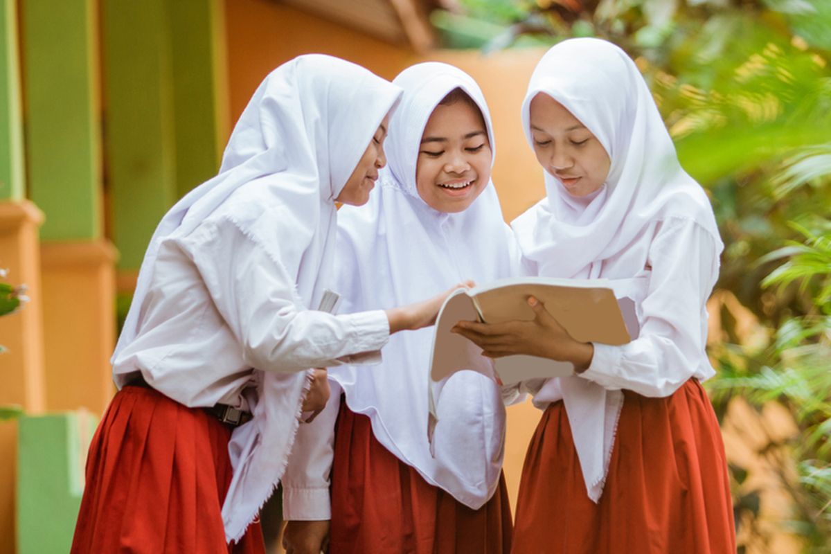 Pemerintah Siapkan Penataan Menyeluruh untuk SD Negeri Kekurangan Murid
